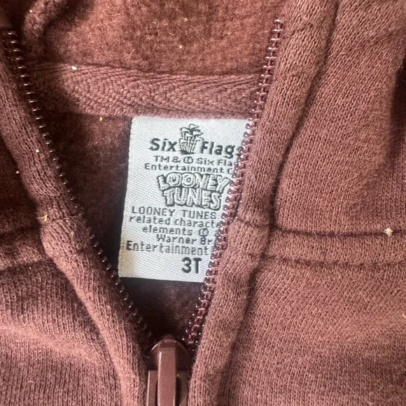 Warner Bros. Brown Taz Hoodie for Kids - Picture 3 of 4